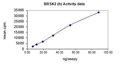Eurofins DiscoverX BrSK2 Protein, Active 10 &mu;g | Buy Online | Eurofins DiscoverX | Fisher Scientific